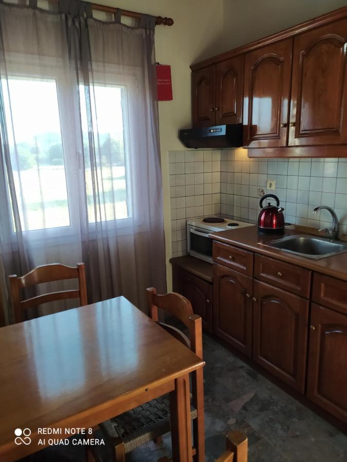 Ektor Apartments @Swimming Pool Sidárion المظهر الخارجي الصورة